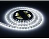 Светодиодная лента Ambrella Light Illumination 24В 5050 14,4Вт/м 6500K 5м IP20 GS4003