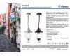 Уличный подвесной светильник Feron Флер PL595 41172