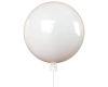 Потолочный светильник LOFT IT Memory 5055C/S white