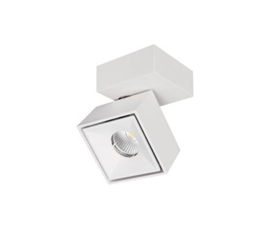 Спот Citilux CL558020N