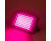 Фитопрожектор для растений Эра FITO-80W-RB-LED-Y Б0053082