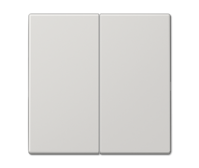 Клавиша 2-ная Jung LS990 LS995LG