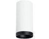 Накладной светильник Lightstar Rullo R64863487 (216486+203487)