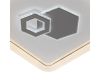 Потолочный светильник Escada Zodiac 10219/SG LED