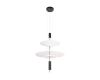 Подвесной светильник Loft IT Skylar 10244/B Black