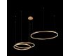 Подвесной светодиодный светильник Loft IT Ring 10017/3M