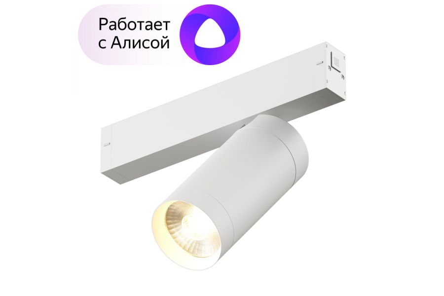 Трековый светильник Denkirs DK8020-WH