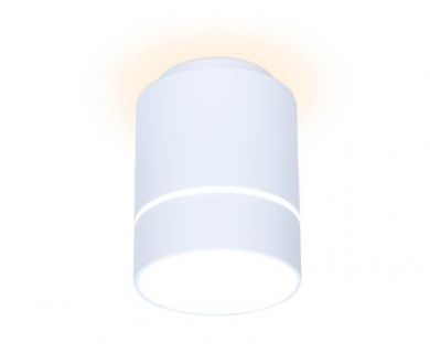 Купить Потолочный светодиодный светильник Ambrella Light Techno Spot TN255 Потолочный светодиодный светильник Ambrella Light Techno Spot TN255