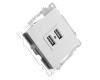 Розетка USB 2-местная Stekker Катрин 39686