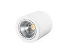 Накладной светильник Arlight SP-FOCUS-R140-30W Day White 021428
