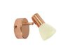 Спот Eglo Glossy 2 94736
