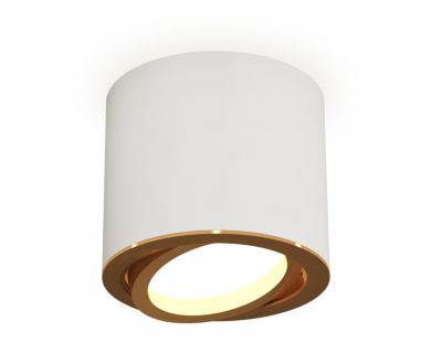 Купить Накладной поворотный светильник Ambrella Light Techno XS7401004 (C7401, N7004) Накладной поворотный светильник Ambrella Light Techno XS7401004 (C7401, N7004)