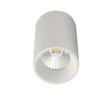 Купить Потолочный светильник 20003 20003SMU/01LED SWH Потолочный светильник 20003 20003SMU/01LED SWH
