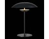 Настольная лампа ST Luce Armonico SL6502.404.01