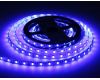 Светодиодная лента Ambrella Light Illumination 24В 5050 10Вт/м RGBW+4500K 5м IP20 GS4402