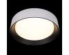 Потолочный светильник Loft IT Coin 10202 WB