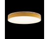 Потолочный светильник Loft IT AXEL 10001/36 Yellow