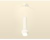 Подвесной светильник Ambrella Light Techno Spot XP1101010 (A2301, C6355, A2010, C1101, N7160)