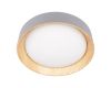 Потолочный светильник Loft IT Coin 10202 Grey
