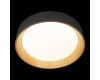 Потолочный светильник Loft IT Coin 10202 Grey