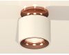 Потолочный светильник Ambrella Light Techno Spot XS7510141 (N7930, C7510, N7015)