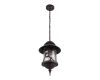 Уличный подвесной светильник Loft IT Prato 100021P