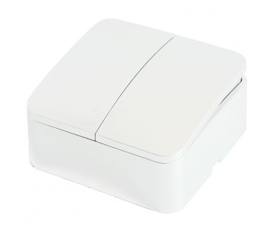 Купить Выключатель двухклавишный Stekker София MSW10-20-01 49289 Выключатель двухклавишный Stekker София MSW10-20-01 49289