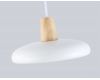 Подвесной светильник Ambrella Light Linetech Comfort FL4838