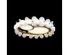 Потолочный светильник Loft IT Bride 10173