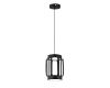Подвесной светильник Indigo Capsula 14027/2P Black V000155L