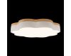 Потолочный светильник Loft IT Axel 10225/36 White