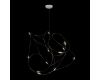 Подвесной светильник Loft IT Flock of Light 10309/11 CR