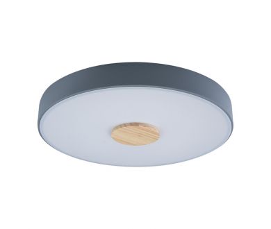 Купить Потолочный светильник Loft IT AXEL 10003/24 Grey Потолочный светильник Loft IT AXEL 10003/24 Grey