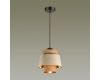 Подвесной светильник Odeon Light Kressa 4992/1