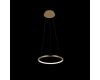 Подвесной светодиодный светильник Loft IT Ring 10014S