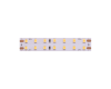Светодиодная лента DesignLed DSG2196-24-WW-33 000529