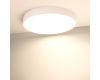 Потолочный светильник Arlight IM-RONDO-EMERGENCY-3H-R500-54W Day4000 (WH, 120 deg, 230V) 041070