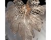 Подвесная люстра Citilux Dryad CL305180