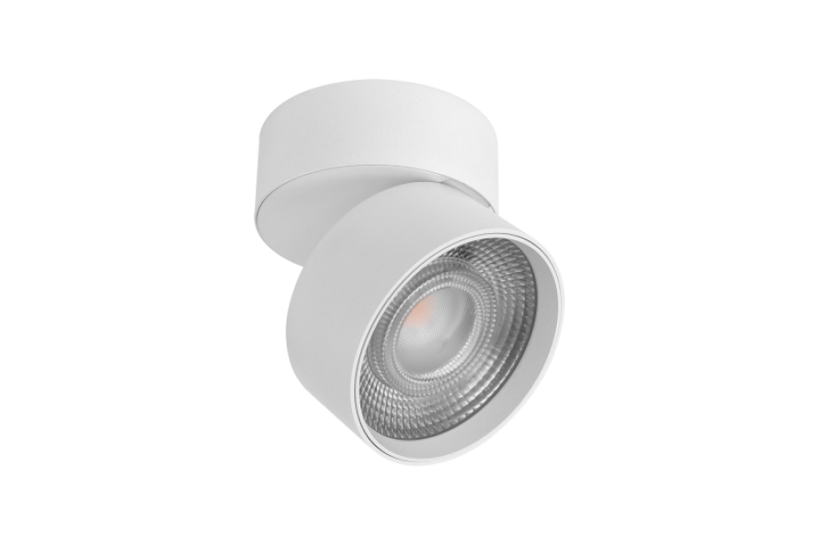 Потолочный cветильник Lumker Rink 010563