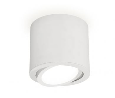 Купить Накладной поворотный светильник Ambrella Light Techno XS7401001 (C7401, N7001) Накладной поворотный светильник Ambrella Light Techno XS7401001 (C7401, N7001)