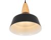 Подвесной светильник MyFar Brigitte MR1402-1P