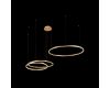 Подвесной светодиодный светильник Loft IT Ring 10017/3S