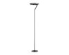Торшер Divinare Sole 3234/06 PN-1