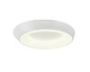 Потолочный светильник Myfar Phoebe MR9150-CL