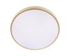 Потолочный светильник Loft IT Flims 10228/A