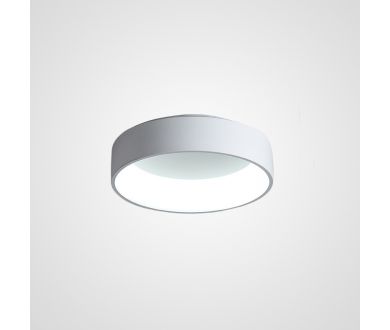 Купить Потолочный светильник ImperiumLoft Tray 102137-26 Потолочный светильник ImperiumLoft Tray 102137-26