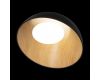 Потолочный светильник Loft IT Egg 10197/500 Black