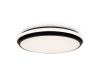 Потолочный светильник Freya Pie FR6086CL-L117B