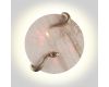 Настенный светильник Odeon Light Snake 7033/10WL
