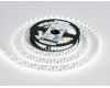 Светодиодная лента двухрядная Ambrella Light LED Strip 12В 2835 24Вт/м 6500K 5м IP20 GS1703